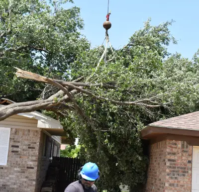 Storm Cleanup