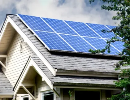 solar panels and tree trimming