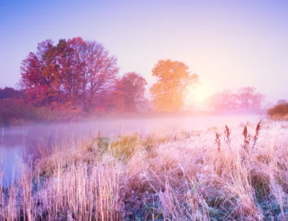 November tree care tips for west Texas