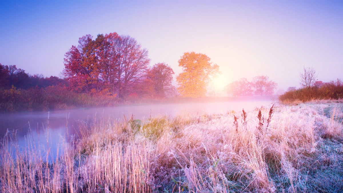 November tree care tips for west Texas