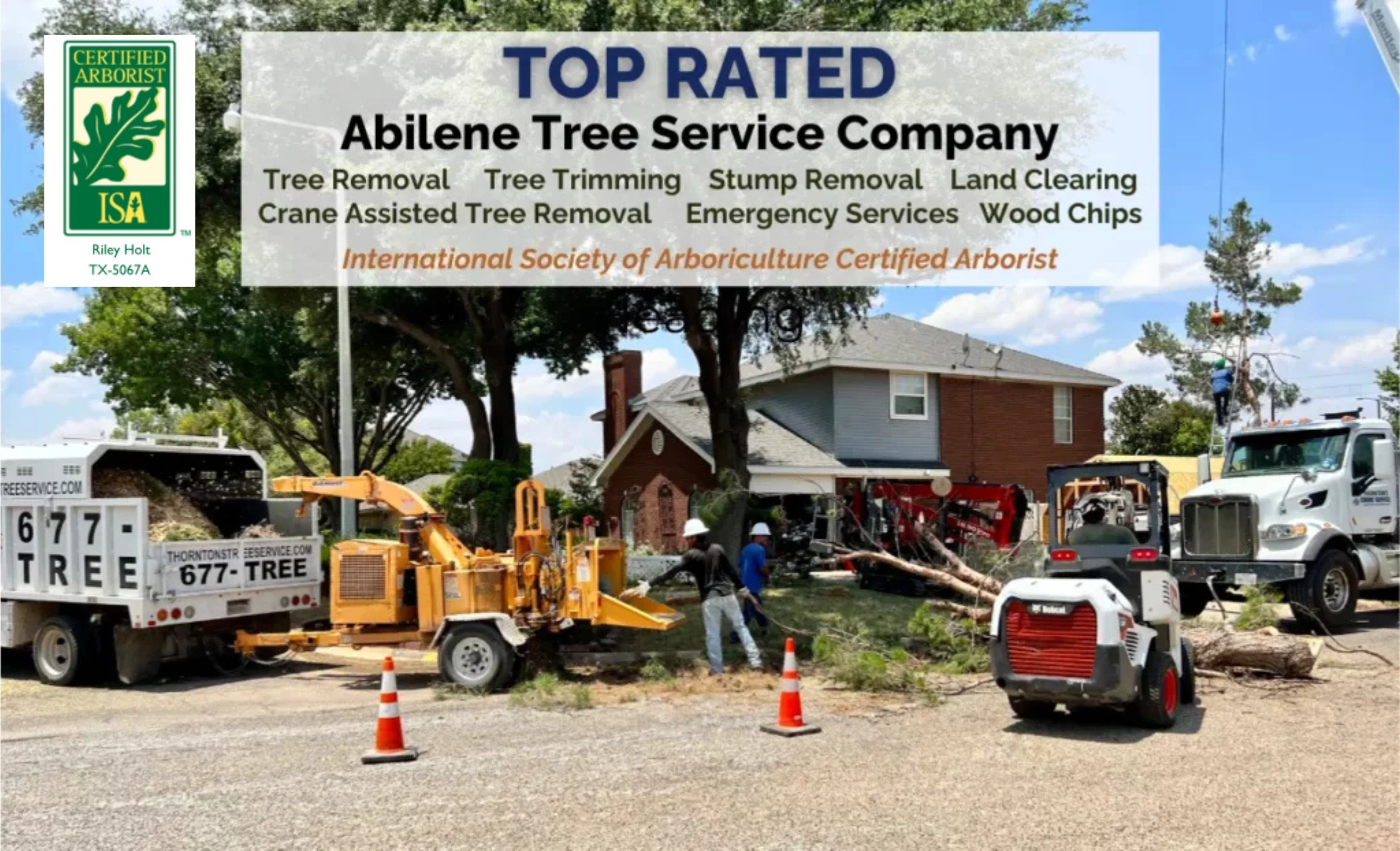 Thornton's Tree Service Abilene, Brownwood, San Angelo, Wichita Falls, Weatherford, Midland, Odessa