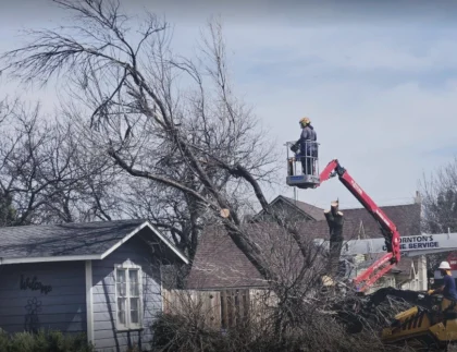 Windstorm cleanup