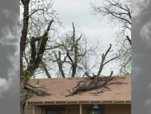 Abilene Storm Cleanup