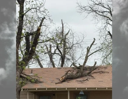 Abilene Storm Cleanup