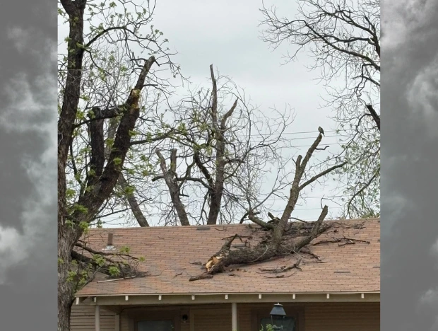 Abilene Storm Cleanup