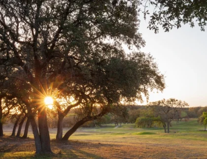 September Texas Tree Care
